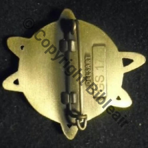 NRBC  GS.174 BREVET AGUERRISSEMENT NRBC BRONZE  De 2Griffes Dos lisse scintillant Src.parotict 17Eur11.25 